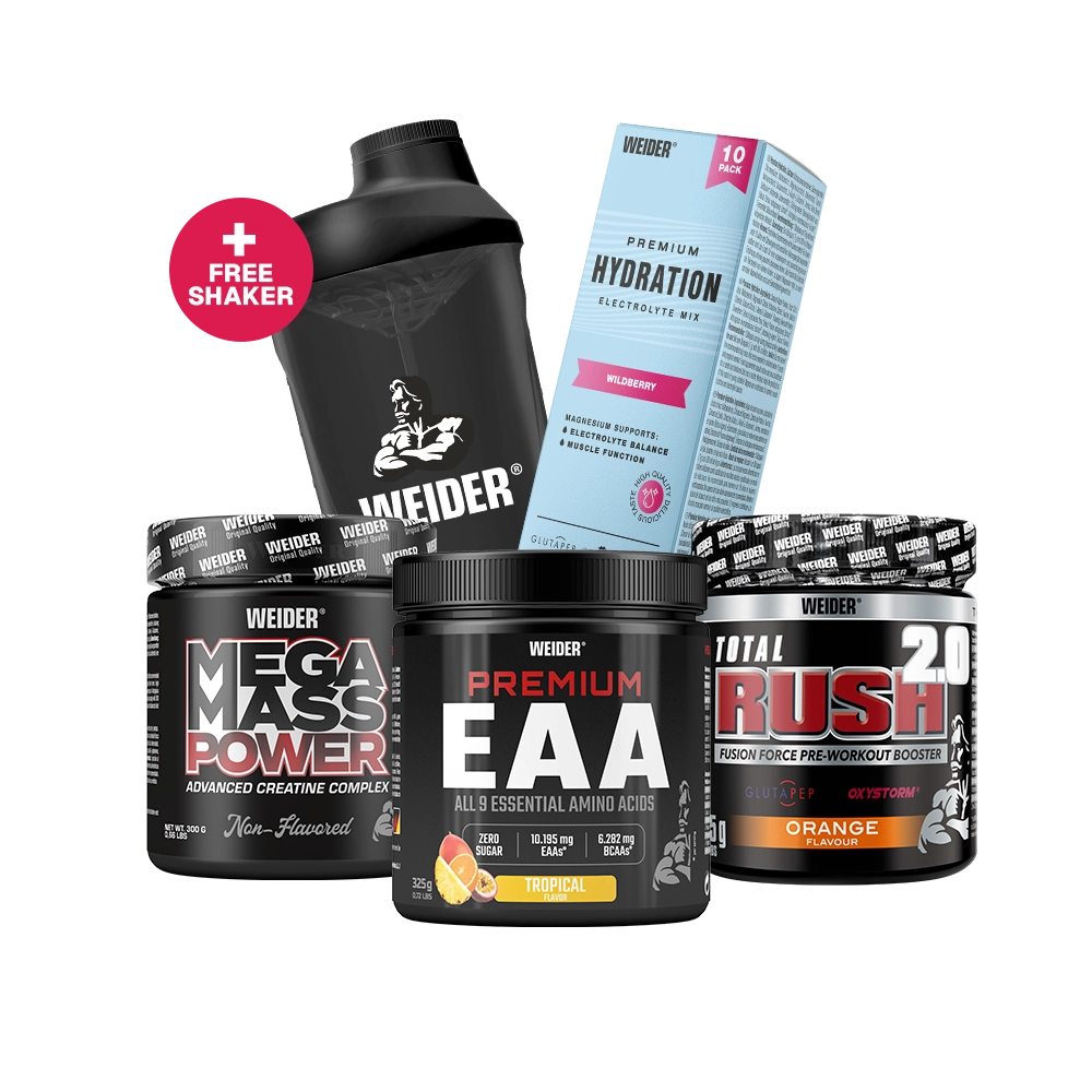 Gottis Favorites Bundle